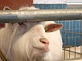 Foto_ 023.jpg